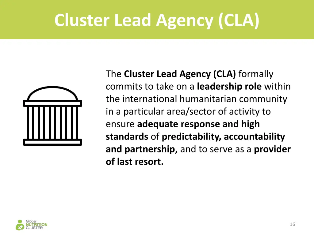 cluster lead agency cla