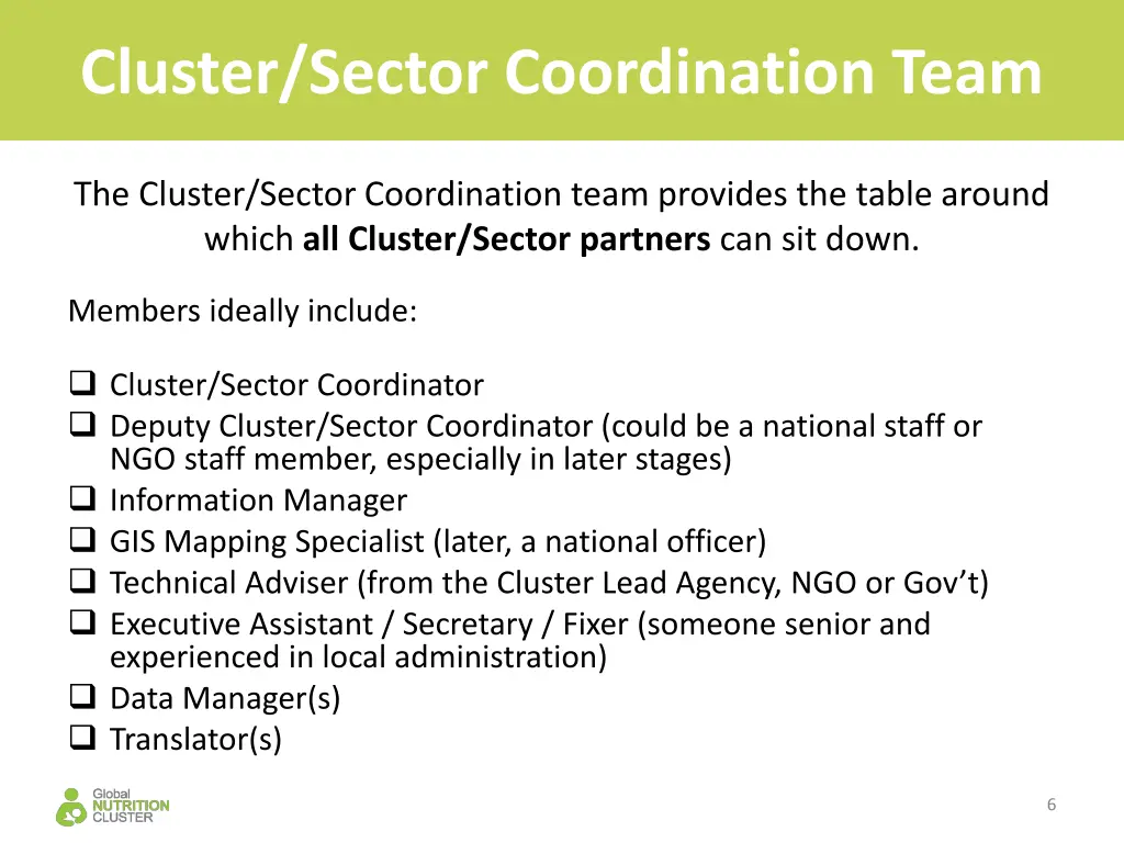 cluster sector coordination team