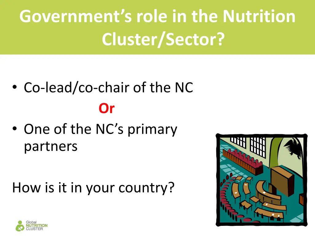 government s role in the nutrition cluster sector