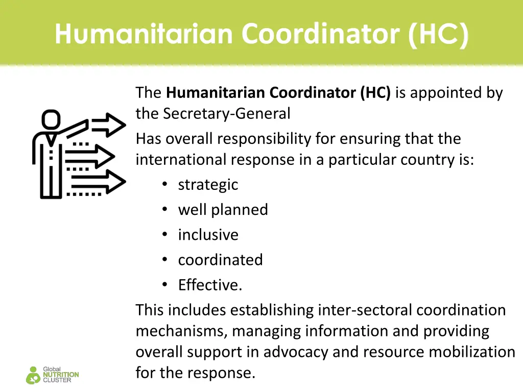 humanitarian coordinator hc