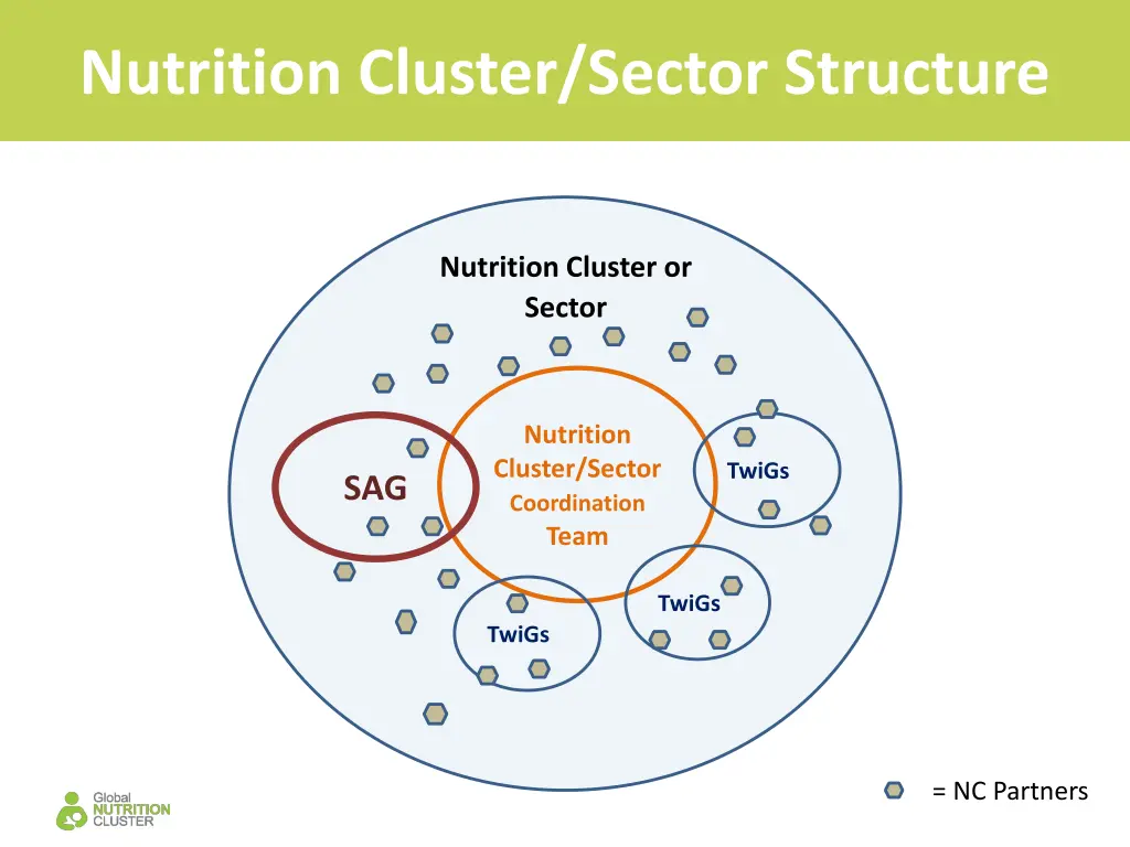 nutrition cluster sector structure