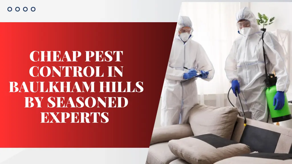 cheap pest control in baulkham hills by seasoned