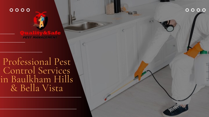 professional pest control services in baulkham