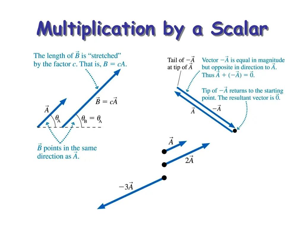 multiplication by a scalar