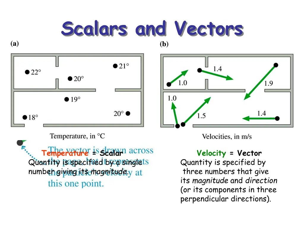 scalars and vectors