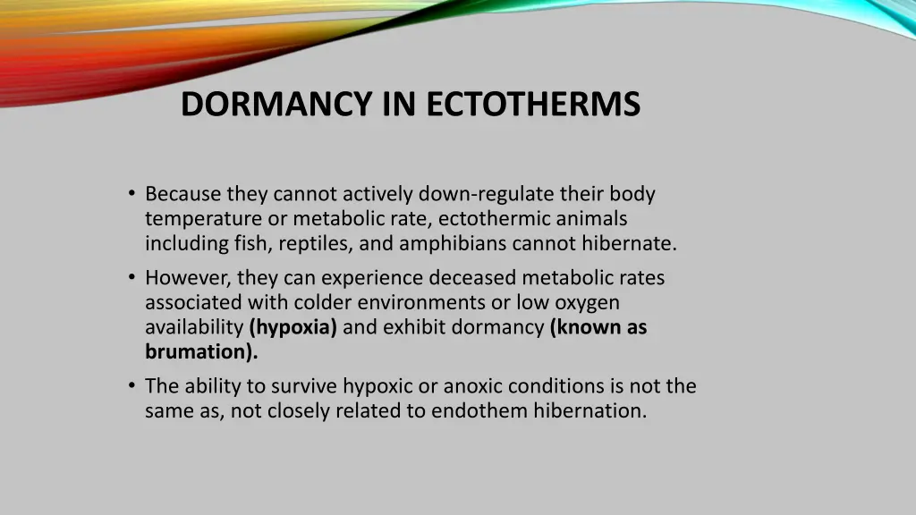 dormancy in ectotherms