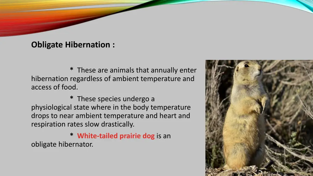 obligate hibernation these are animals that