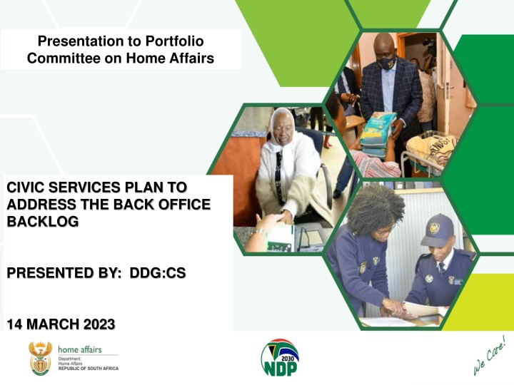 presentation to portfolio committee on home