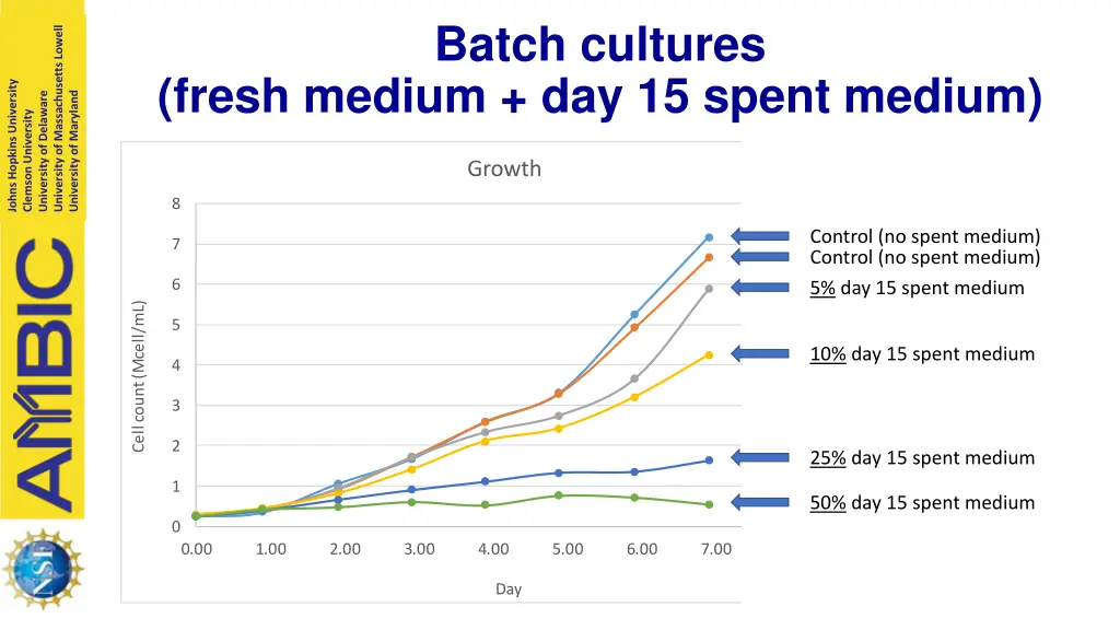 batch cultures