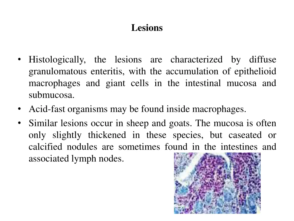 lesions