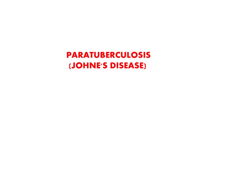 paratuberculosis johne s disease