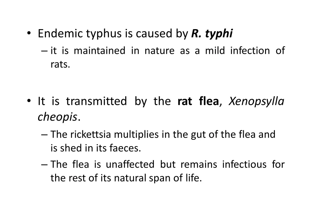 endemic typhus is caused by r typhi