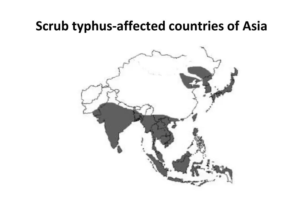 scrub typhus affected countries of asia