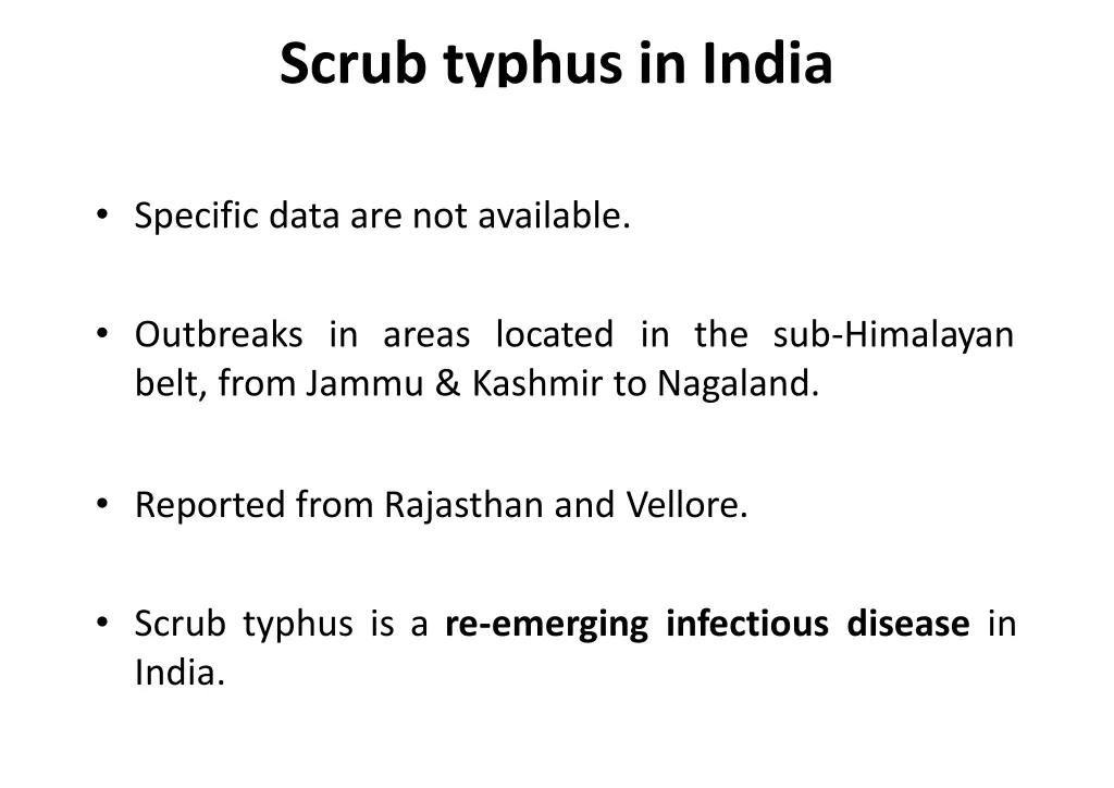 scrub typhus in india