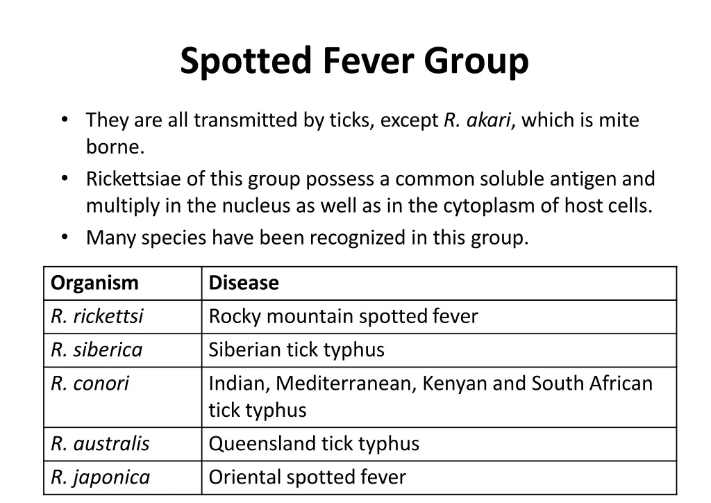 spotted fever group