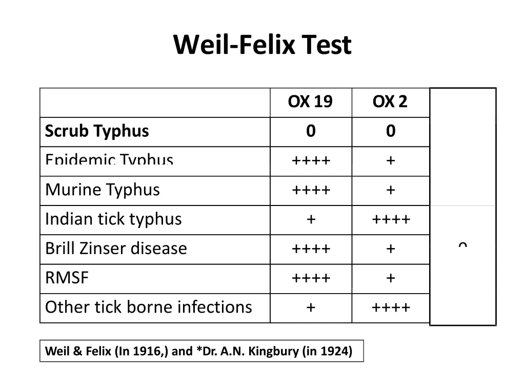 weil felix test