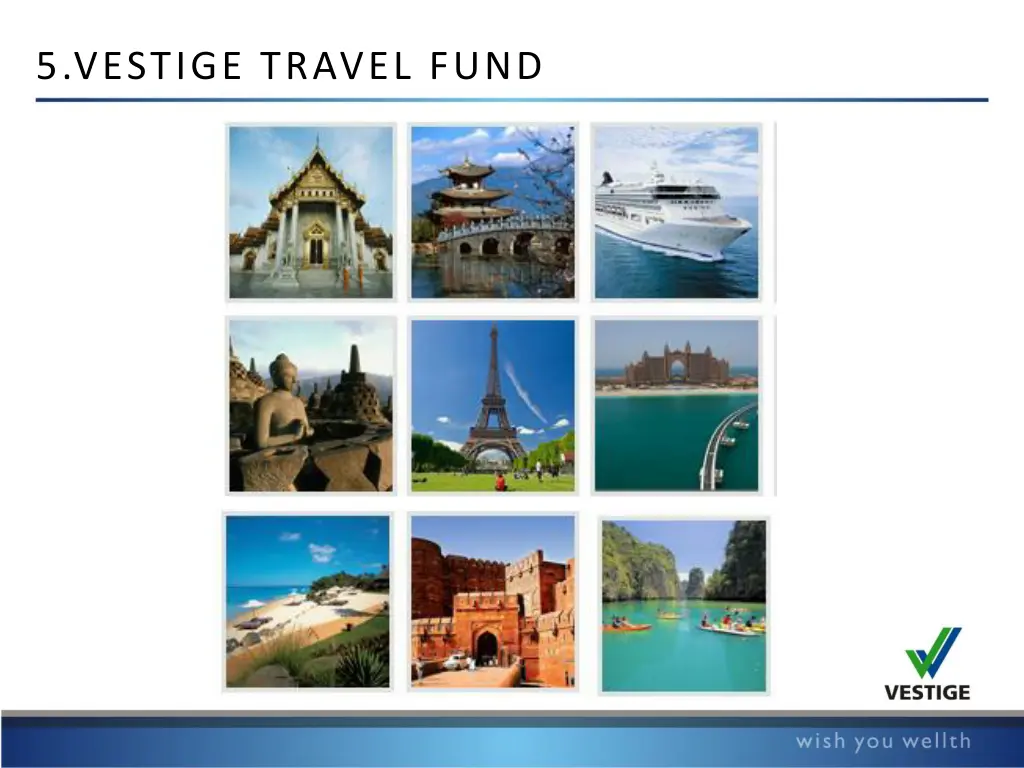 5 vestige travel fund