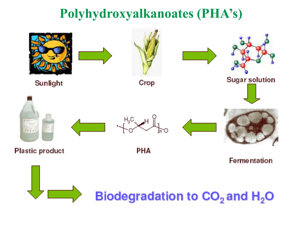 polyhydroxyalkanoates pha s