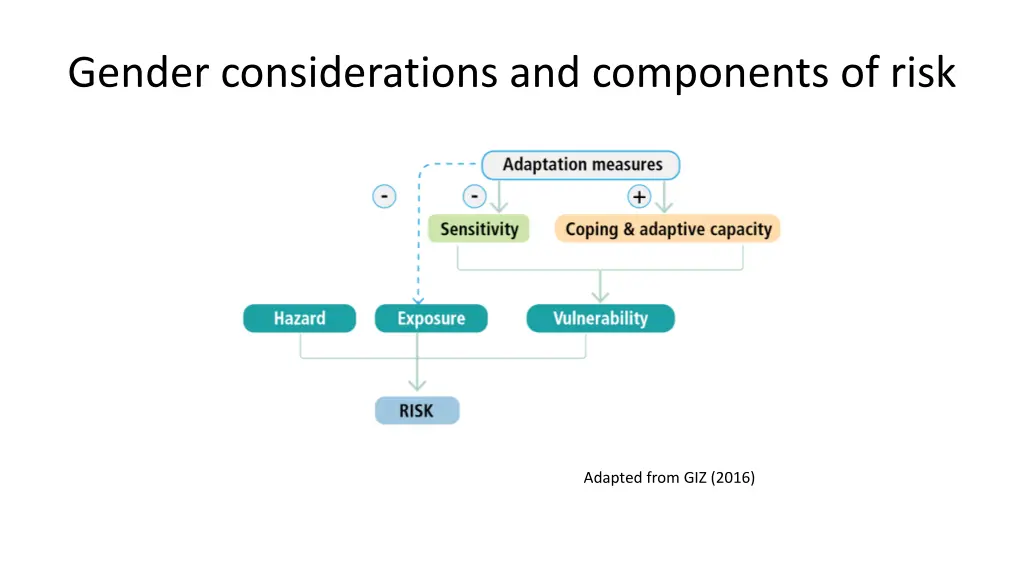 gender considerations and components of risk