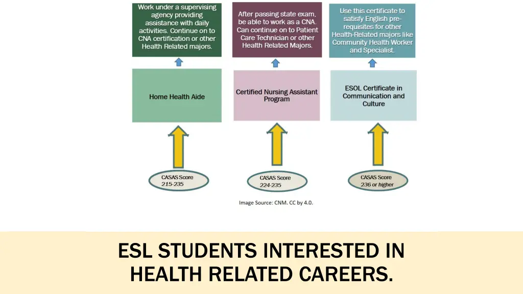 esl students interested in health related careers