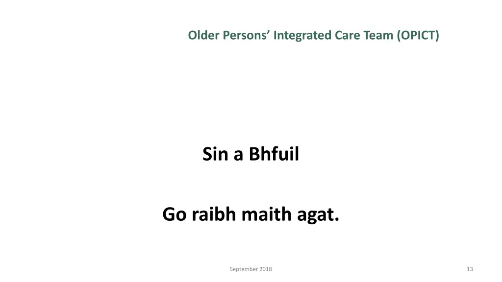 older persons integrated care team opict 3