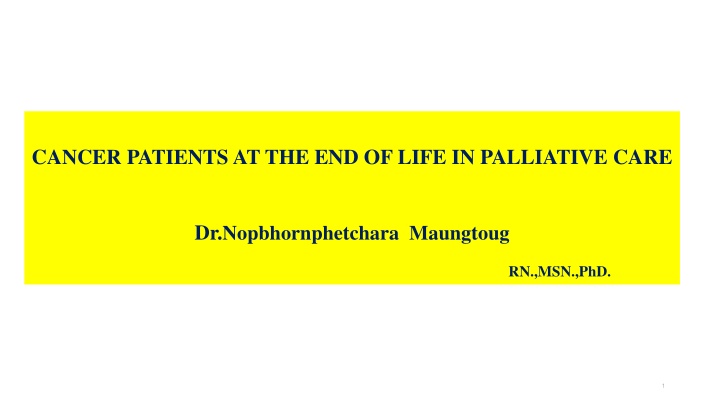 cancer patients at the end of life in palliative