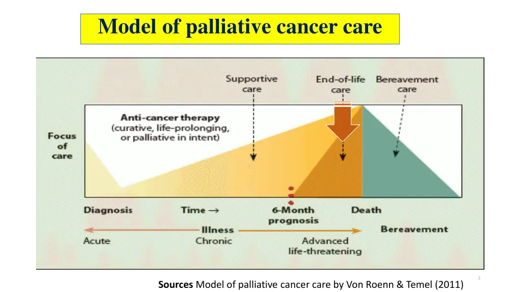 model of palliative cancer care