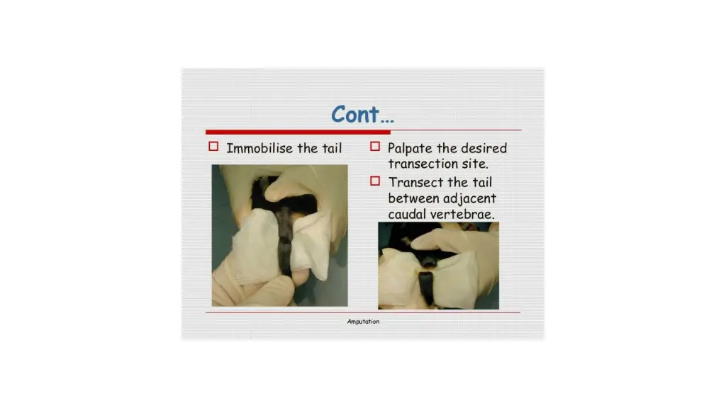 slide15