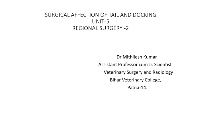 surgical affection of tail and docking unit