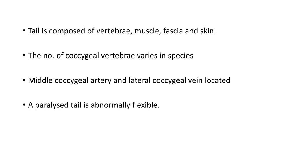 tail is composed of vertebrae muscle fascia