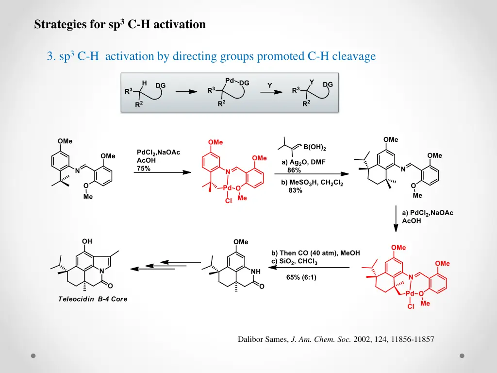 strategies for sp 3 c h activation 2