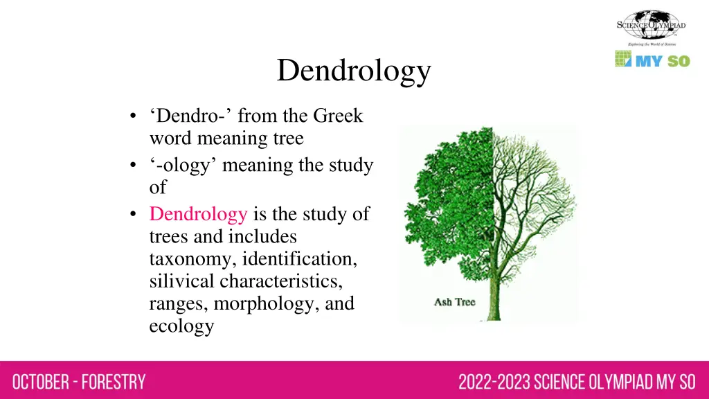 dendrology