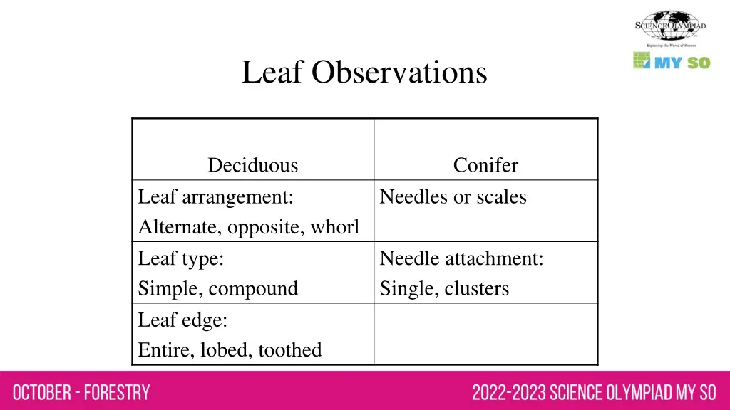 leaf observations