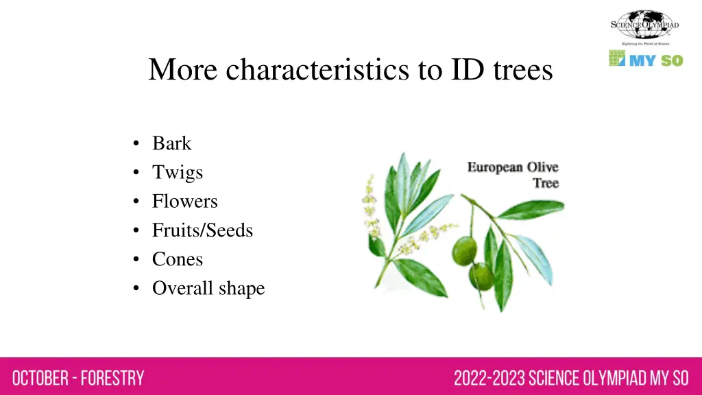 more characteristics to id trees