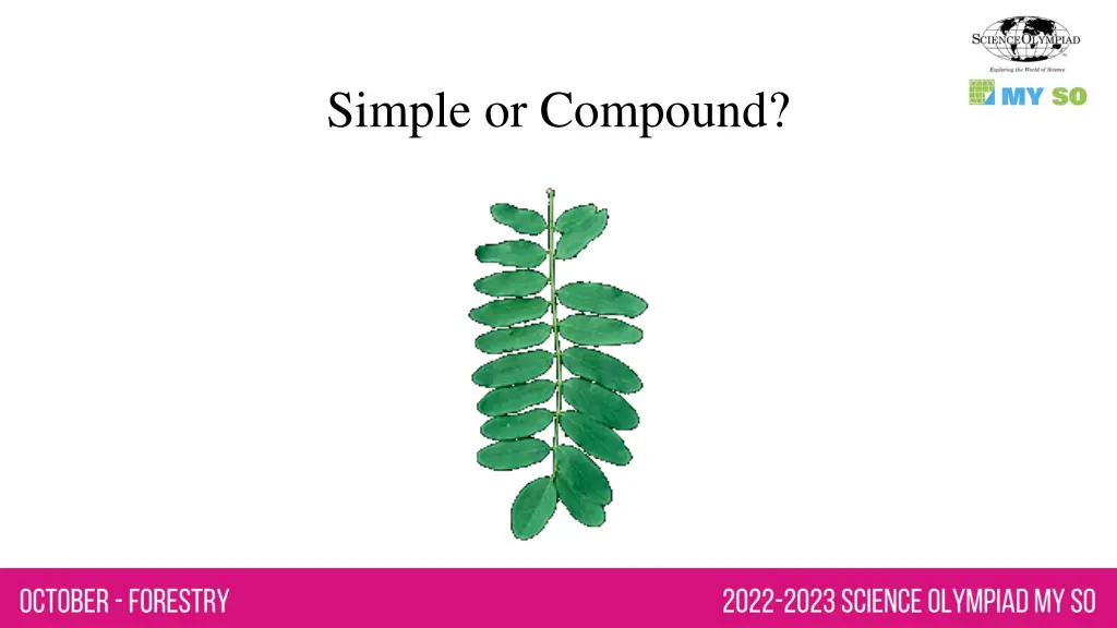 simple or compound