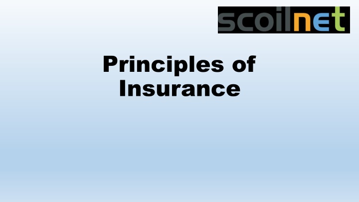 principles of insurance