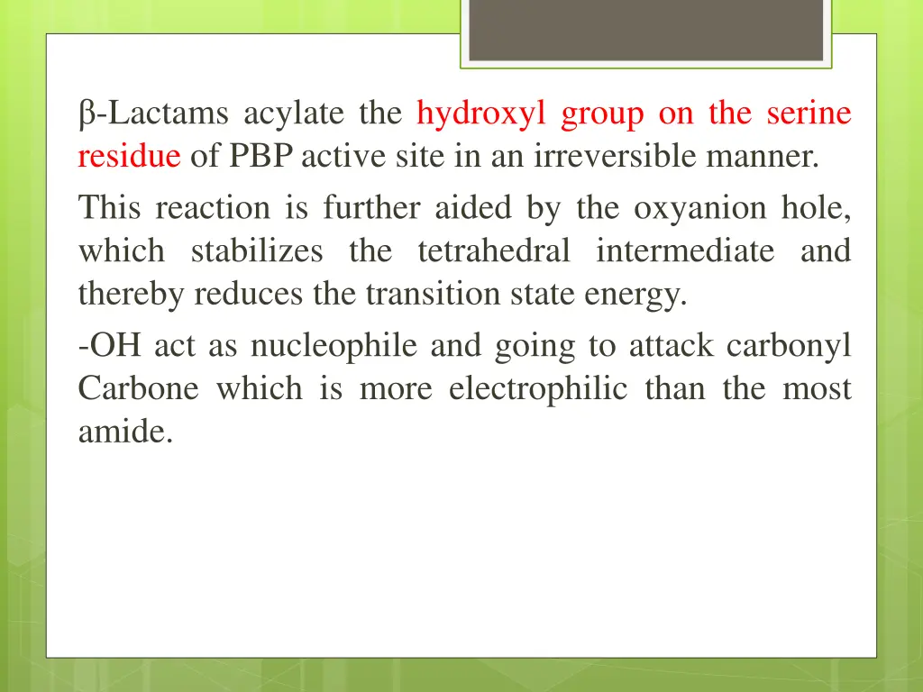 lactams acylate the hydroxyl group on the serine