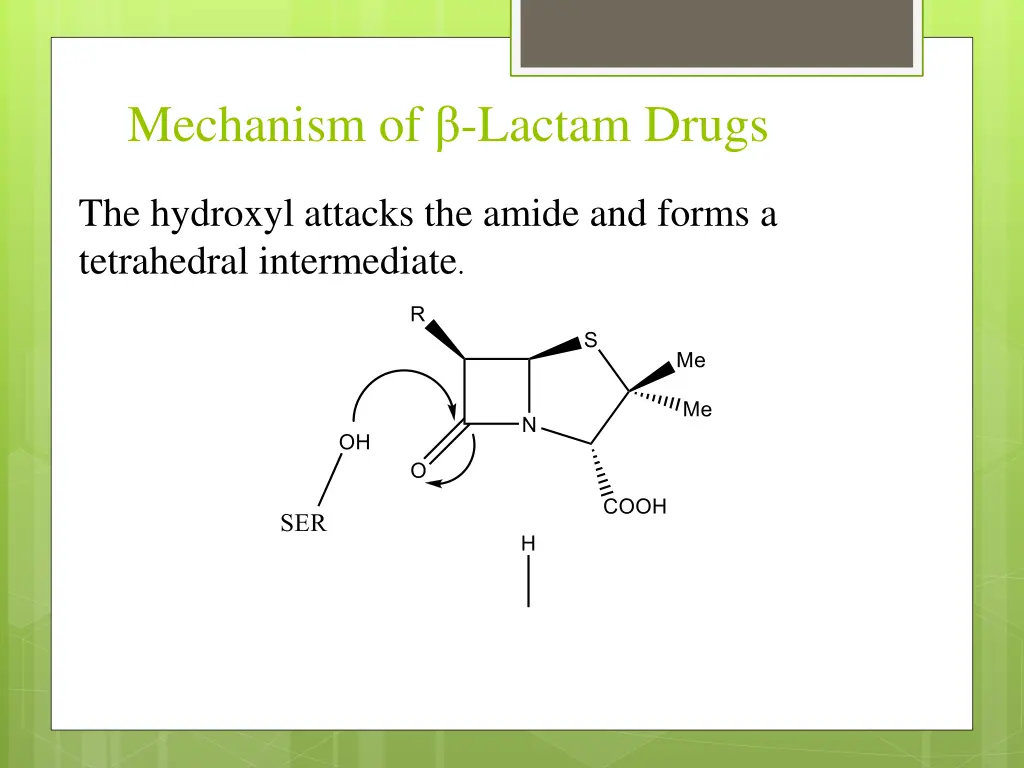 mechanism of lactam drugs 1