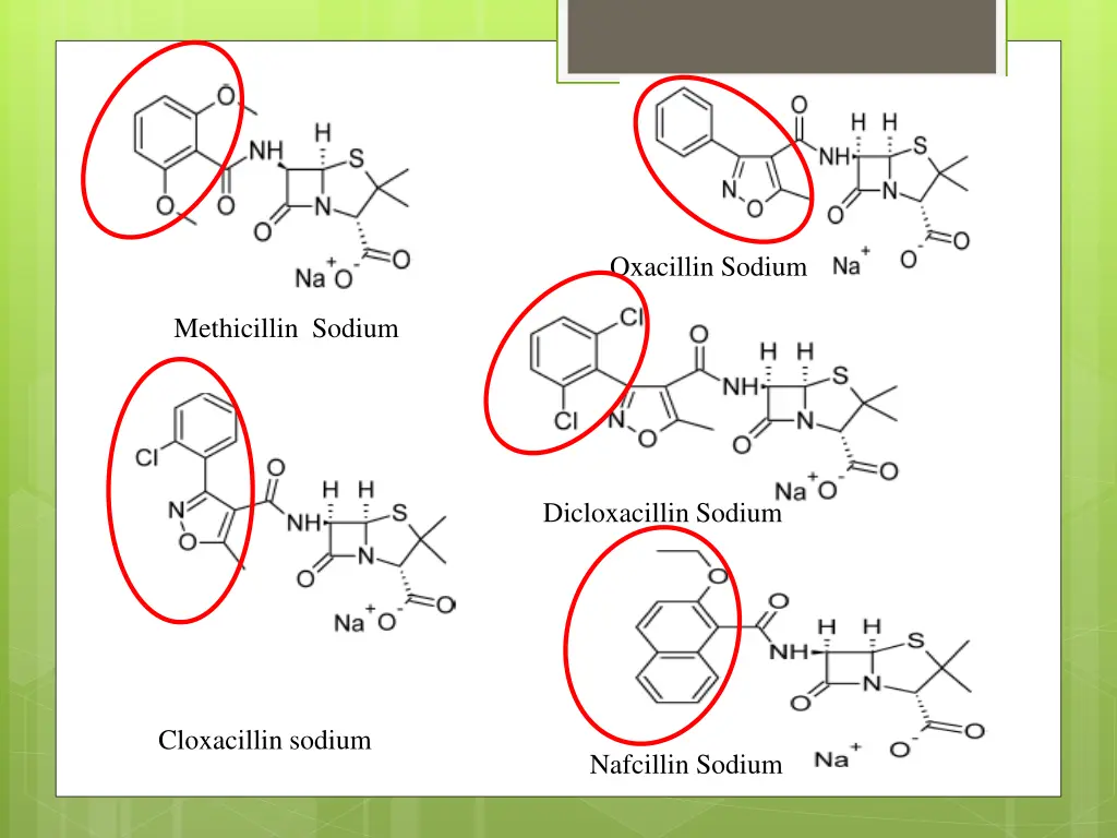 oxacillin sodium