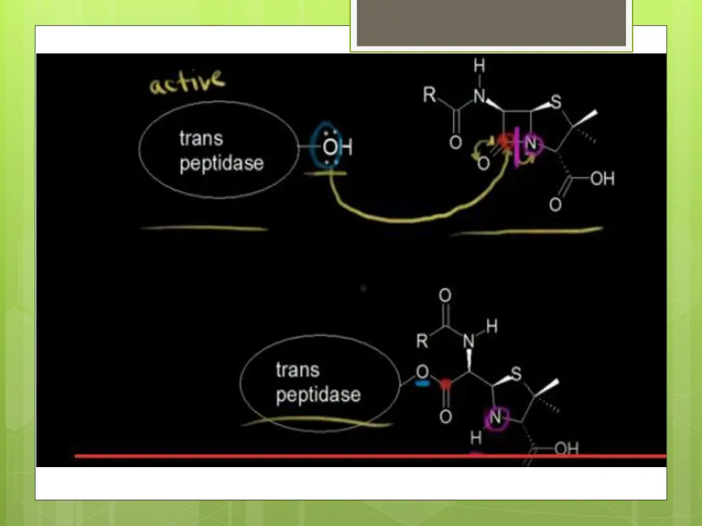 slide11