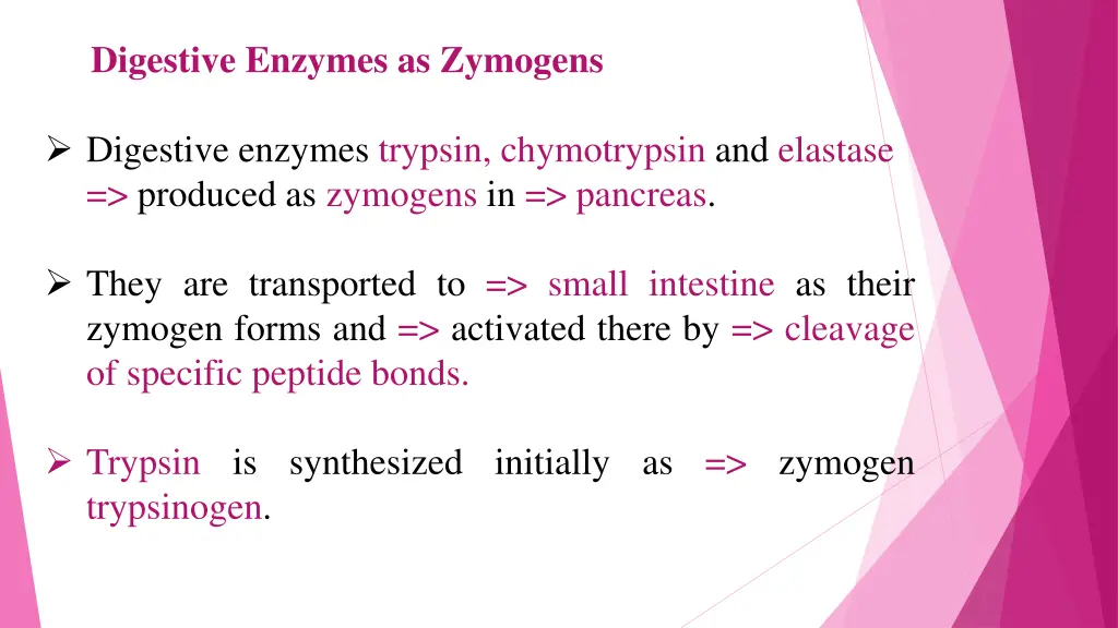 digestive enzymes as zymogens