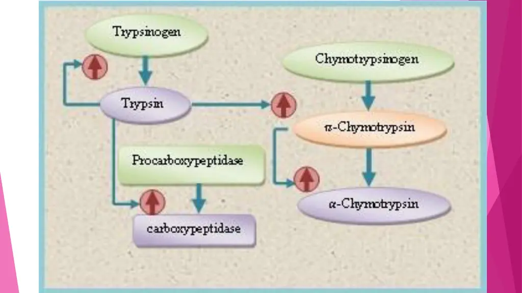 slide7