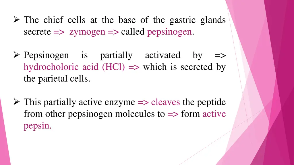 the chief cells at the base of the gastric glands