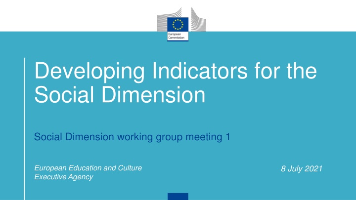 developing indicators for the social dimension