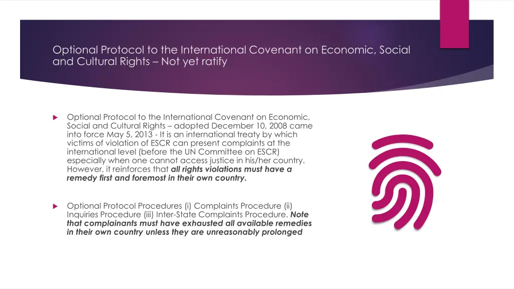 optional protocol to the international covenant