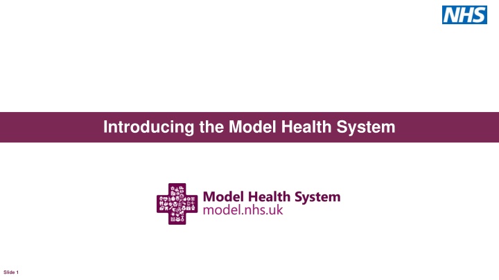 introducing the model health system