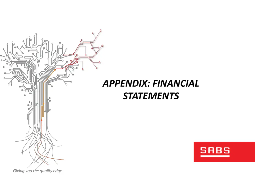 appendix financial statements