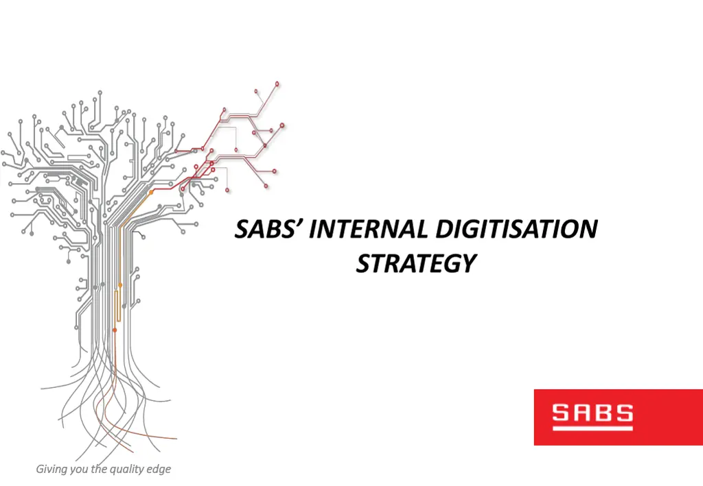 sabs internal digitisation strategy