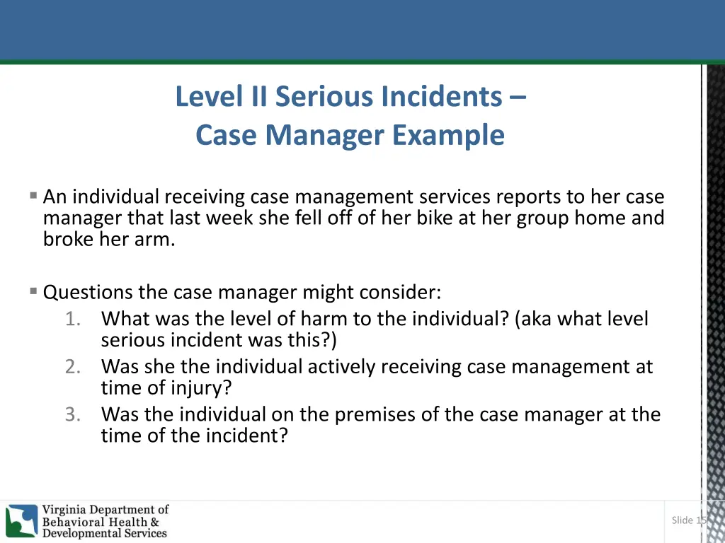 level ii serious incidents case manager example