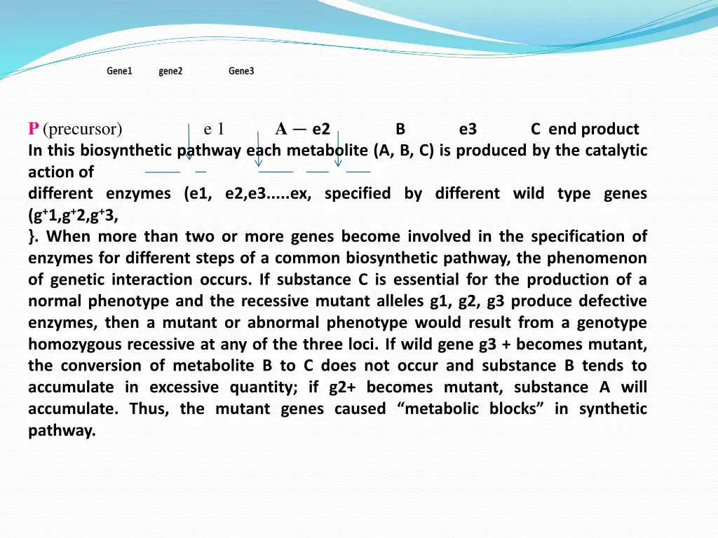 p precursor e 1 in this biosynthetic pathway each